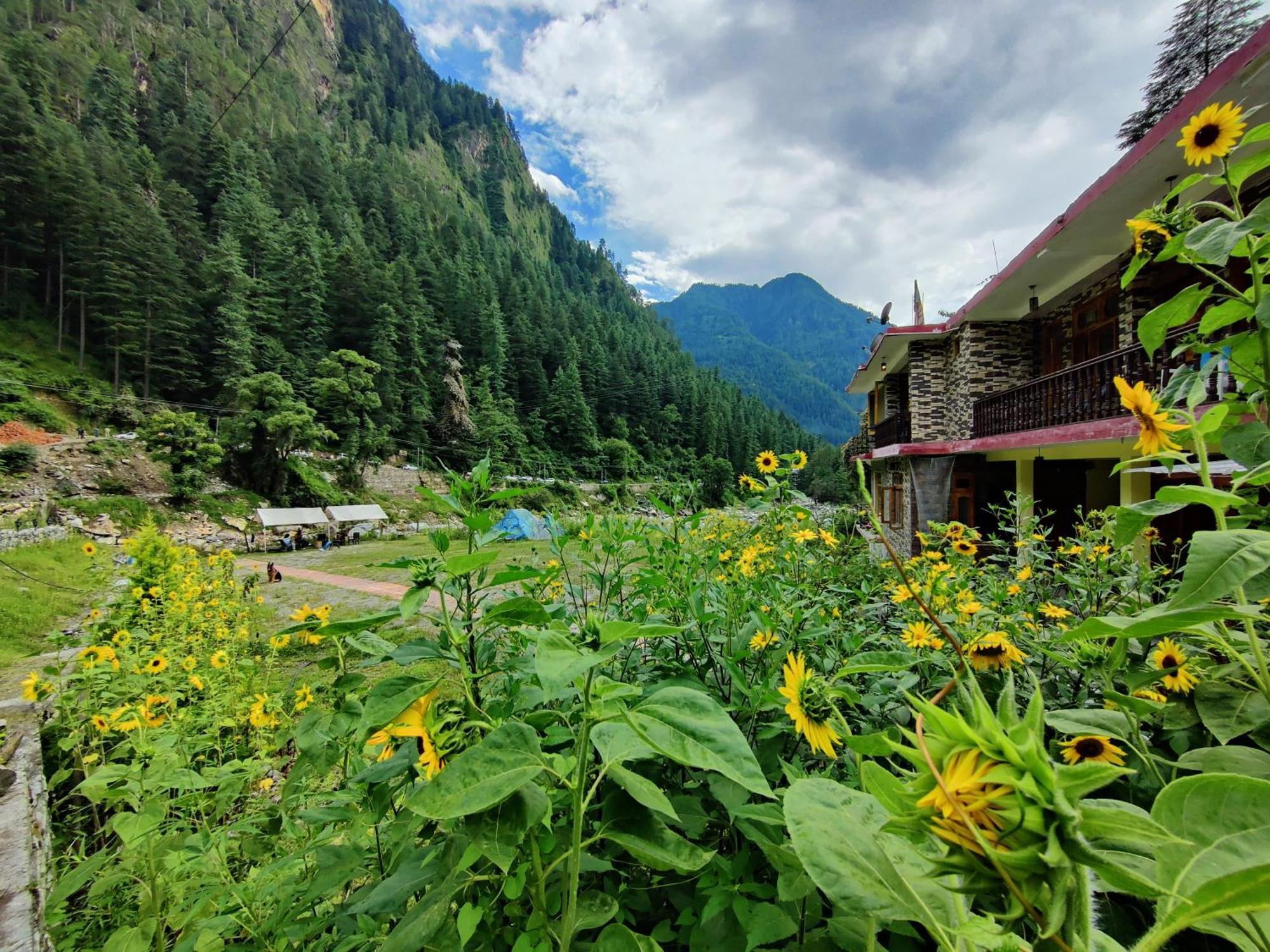 Отель Flipsyde Retreat Касоль Экстерьер фото