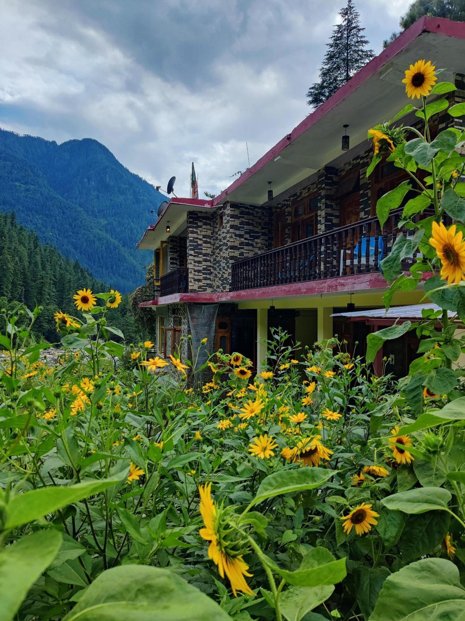 Отель Flipsyde Retreat Касоль Экстерьер фото
