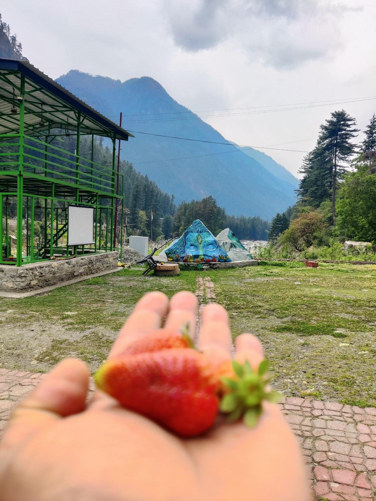 Отель Flipsyde Retreat Касоль Экстерьер фото